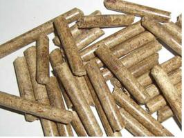 “掘金”生物質(zhì)背后新動(dòng)能