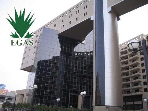 埃及宣布在27個行業(yè)舉辦兩次世界石油和天然氣勘探招標(biāo)