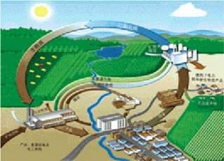 到2022年，陽(yáng)信縣取暖基本不用煤！用生物質(zhì)能！