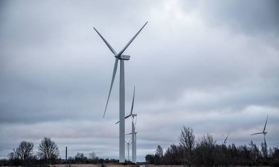 強(qiáng)風(fēng)使愛沙尼亞風(fēng)電場滿負(fù)荷運(yùn)轉(zhuǎn)，電力市場價(jià)格也受影響