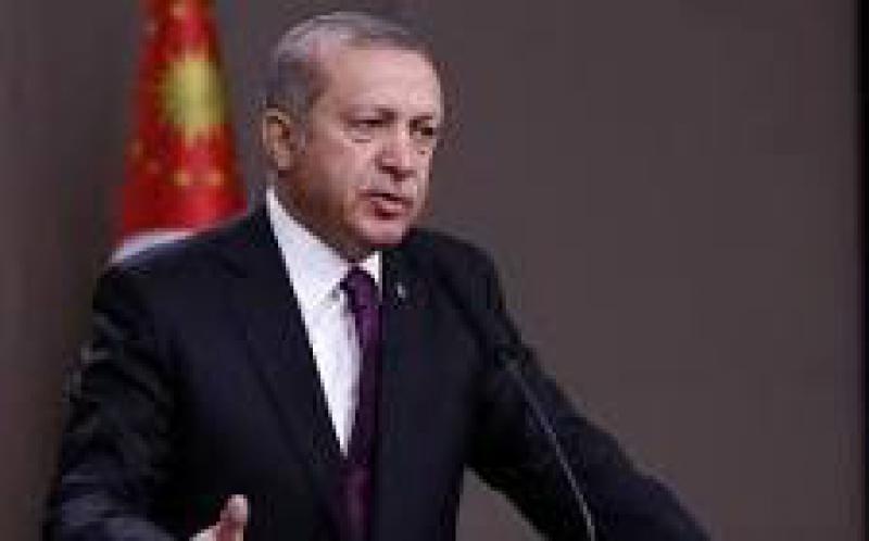 土耳其總統埃爾多安推出為期100天的能源計劃