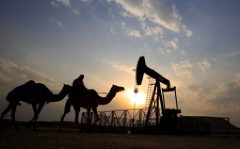 能源經(jīng)濟學家表示，沙特阿拉伯原油進口到加拿大很容易取代