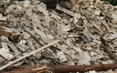 克羅地亞建造兩個生物質(zhì)燃料熱電聯(lián)產(chǎn)工廠