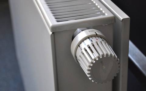 塞爾維亞預計將在2019年完成延遲360萬歐元的生物質供熱廠項目