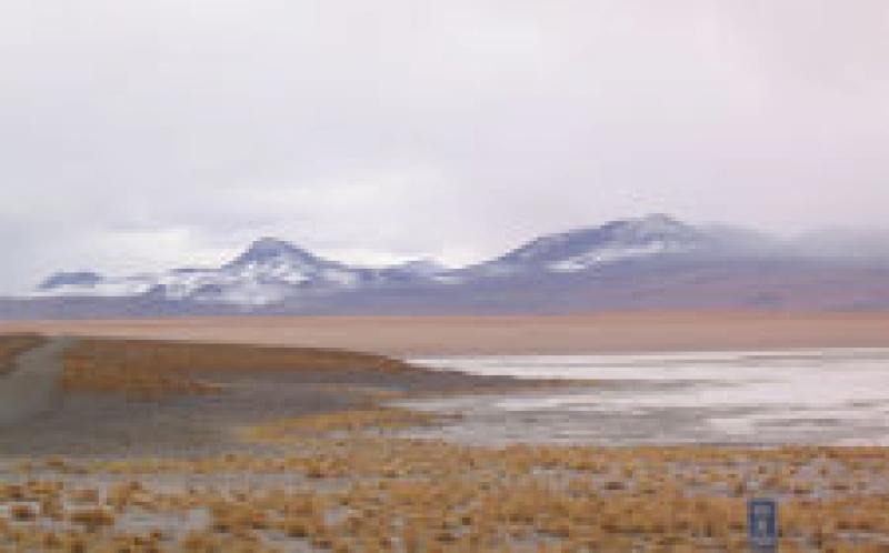 RFP：技術協調地熱開發，Laguna Colorada，玻利維亞