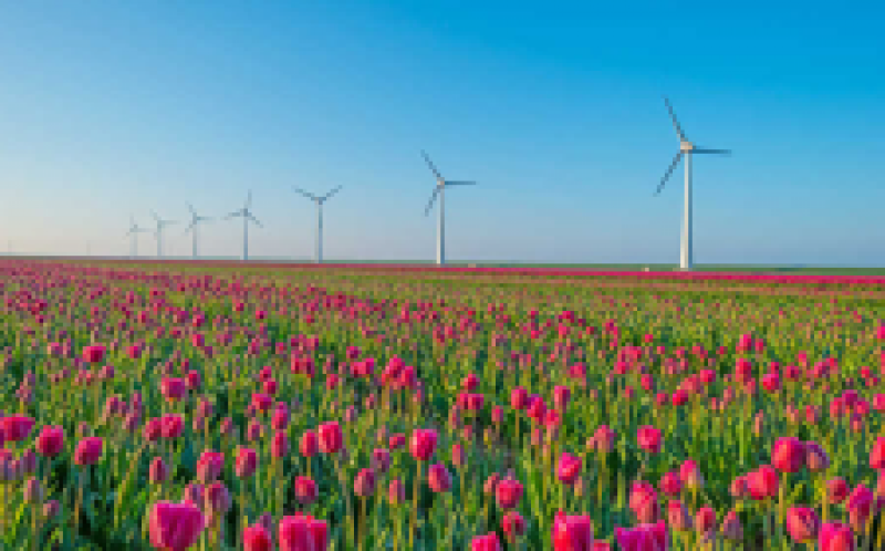 維斯塔斯通過ECN為Wieringermeer風(fēng)測(cè)試站點(diǎn)確保訂單