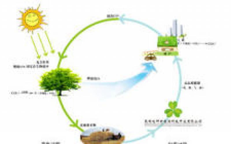 南非能源概況：生物質能