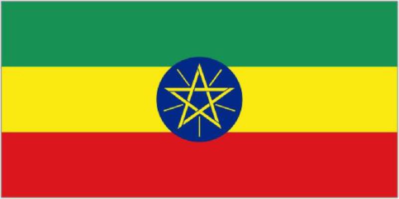 埃塞俄比亞能源概況：風能資源潛力巨大