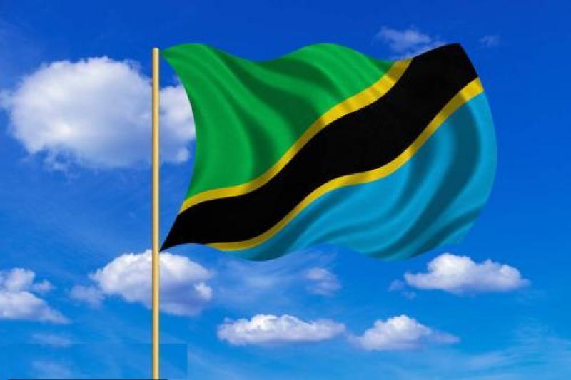 坦桑尼亞能源概況：化石燃料及面臨的技術(shù)挑戰(zhàn)