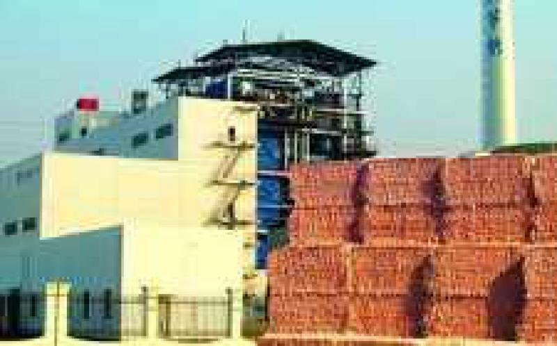 鄂前旗第一個生物質發(fā)電項目進展順利