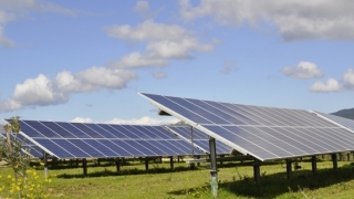 荷蘭銀行ING幫助立陶宛人在波蘭的太陽能農(nóng)場融資