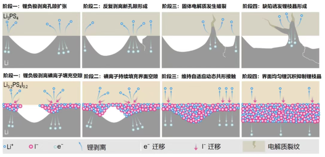 全固態(tài)電池界面技術取得突破