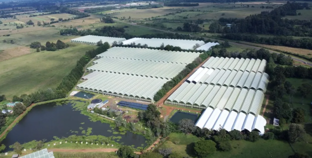 肯尼亞花卉種植園儲(chǔ)能系統(tǒng)實(shí)現(xiàn)清潔能源轉(zhuǎn)型