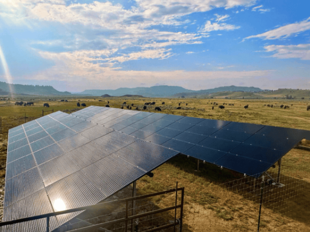 北夏延部落采用離網太陽能系統為水牛牧場供電